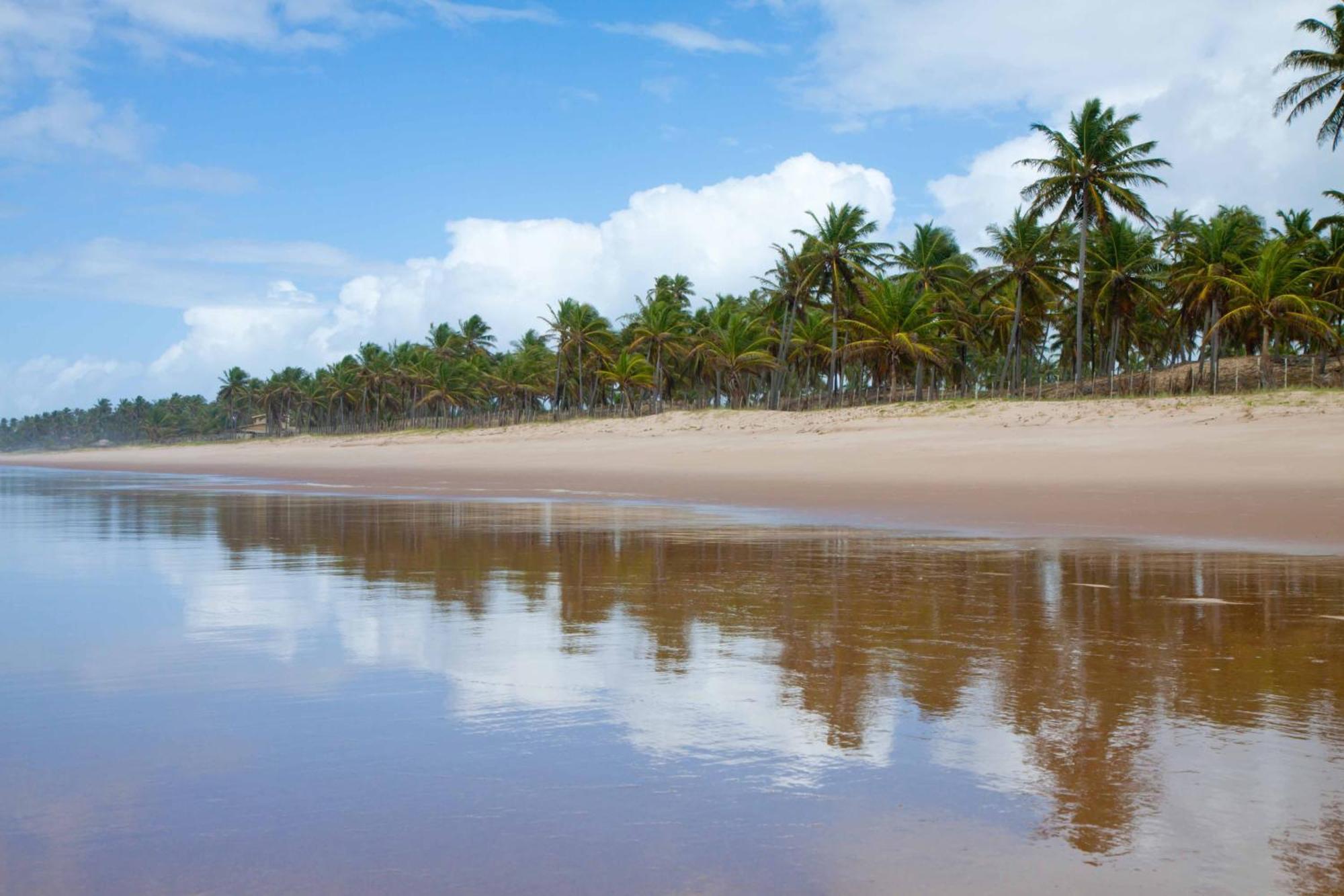 Grand Palladium Imbassai Resort & Spa Eksteriør billede Beach in Cabo de la Vela